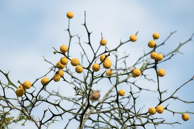 Bali-Reiseplan für die Trockenzeit für deutsche Urlauber