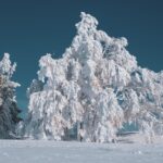 Bali Strandwetter Winter – Der Guide für Deutsche Reisende